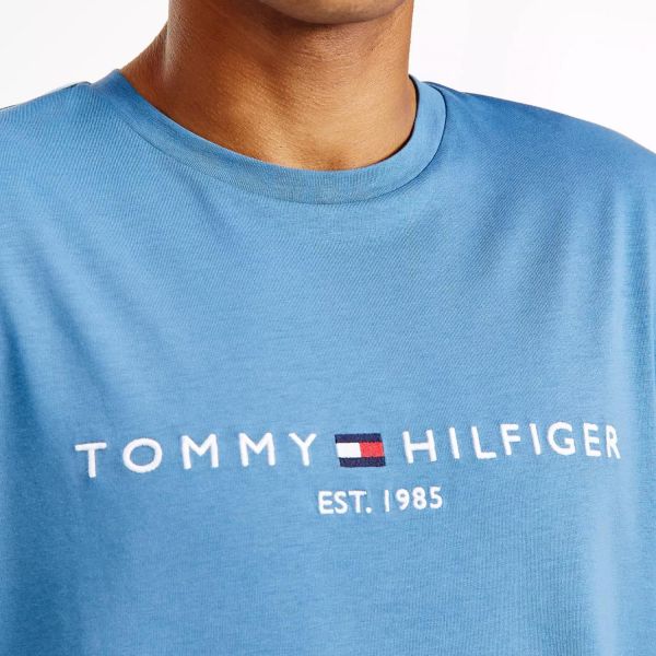 Футболка Tommy Hilfiger MW0MW11797 C2Q.