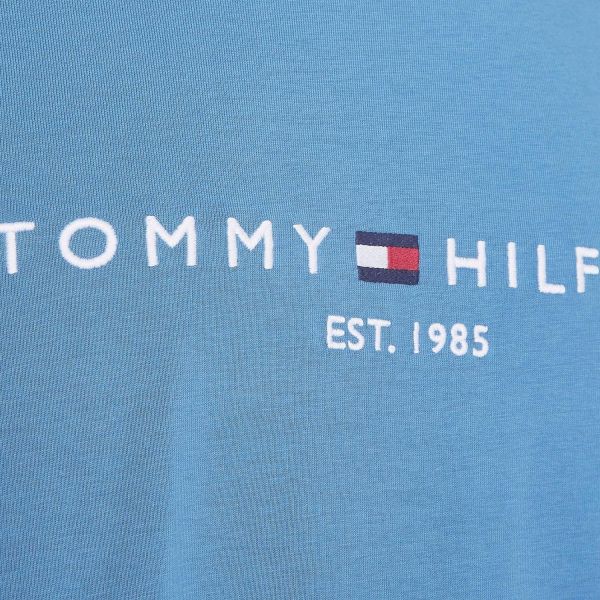 Футболка Tommy Hilfiger MW0MW11797 C2Q.