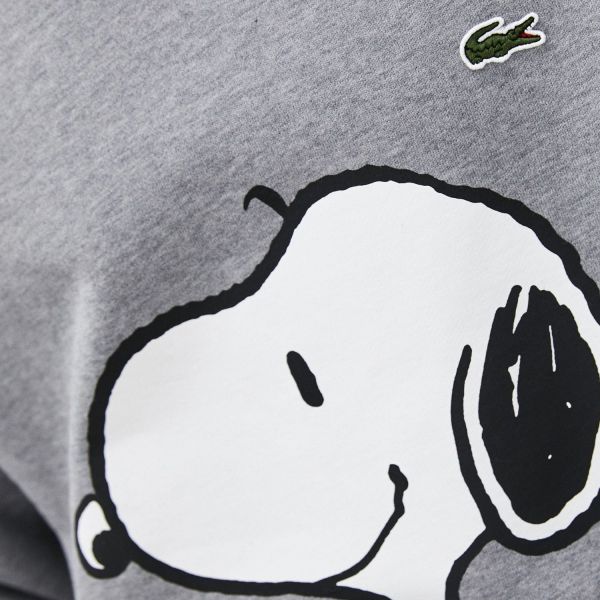 Толстовка Lacoste SH7765 51 LGL.