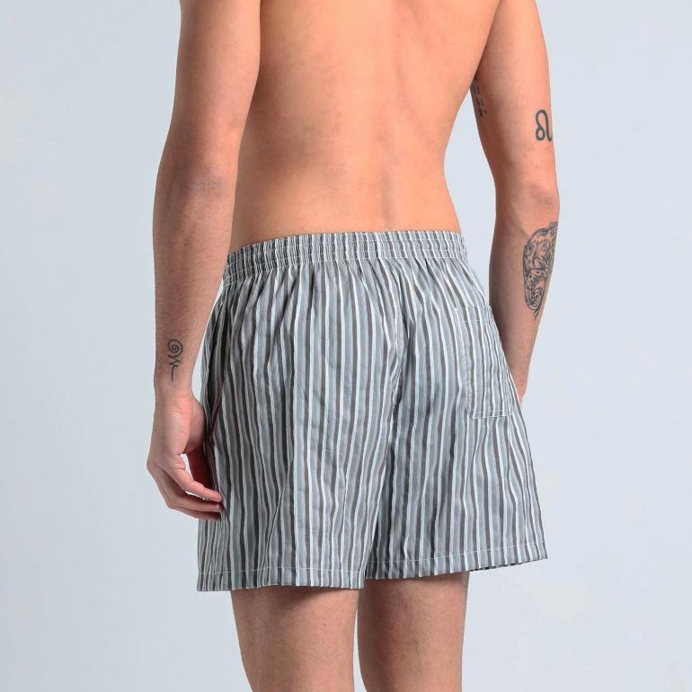 Плавательные шорты Fiorio rd13 grey stripe.