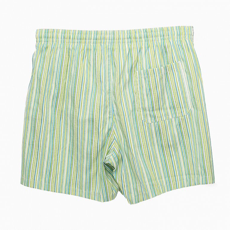 Плавательные шорты Fiorio rd13 green stripe.