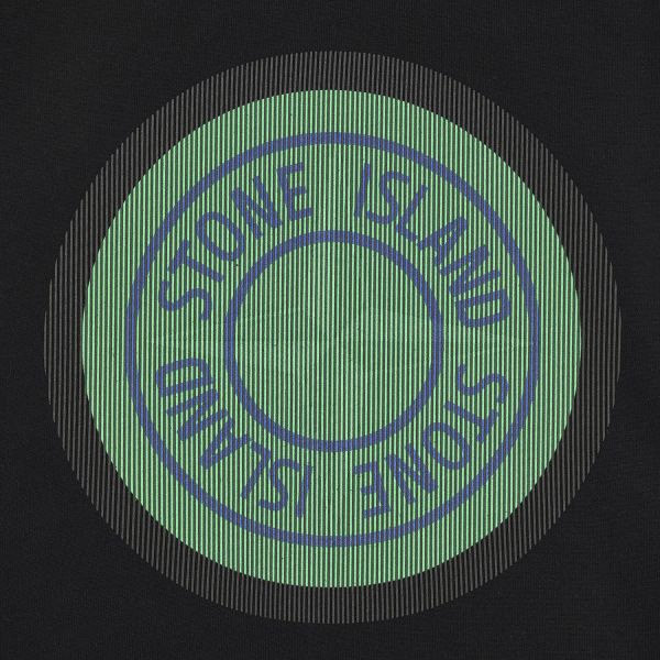 Світшот Stone Island 751563086 V0029.