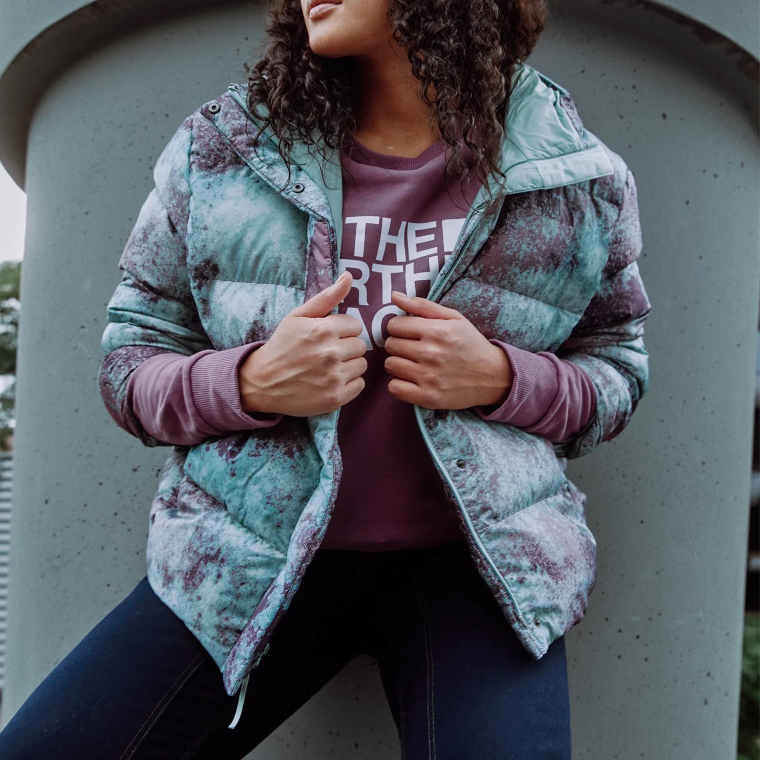 Пуховик The North Face W Print CSPK Puffer BBRYWNCRSPRYPRT