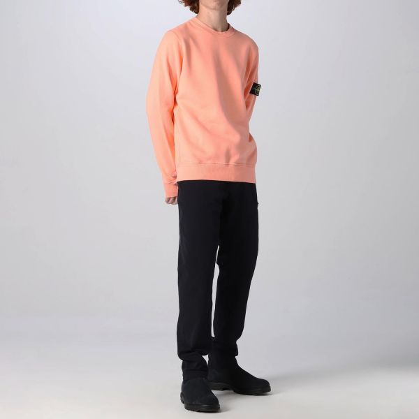 Толстовка Stone Island 771563020 V0083.