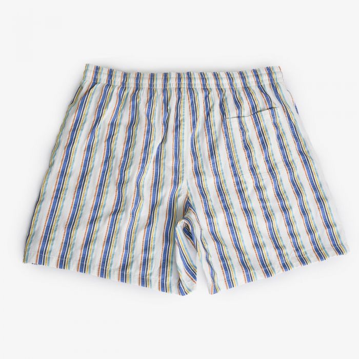 Плавательные шорты Fiorio Blue Green Stripes