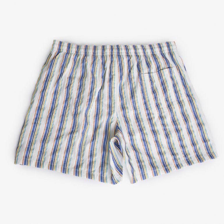 Плавательные шорты Fiorio Blue Green Stripes.