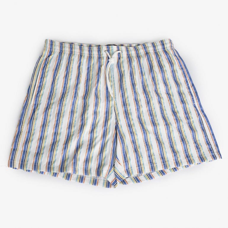 Плавательные шорты Fiorio Blue Green Stripes.