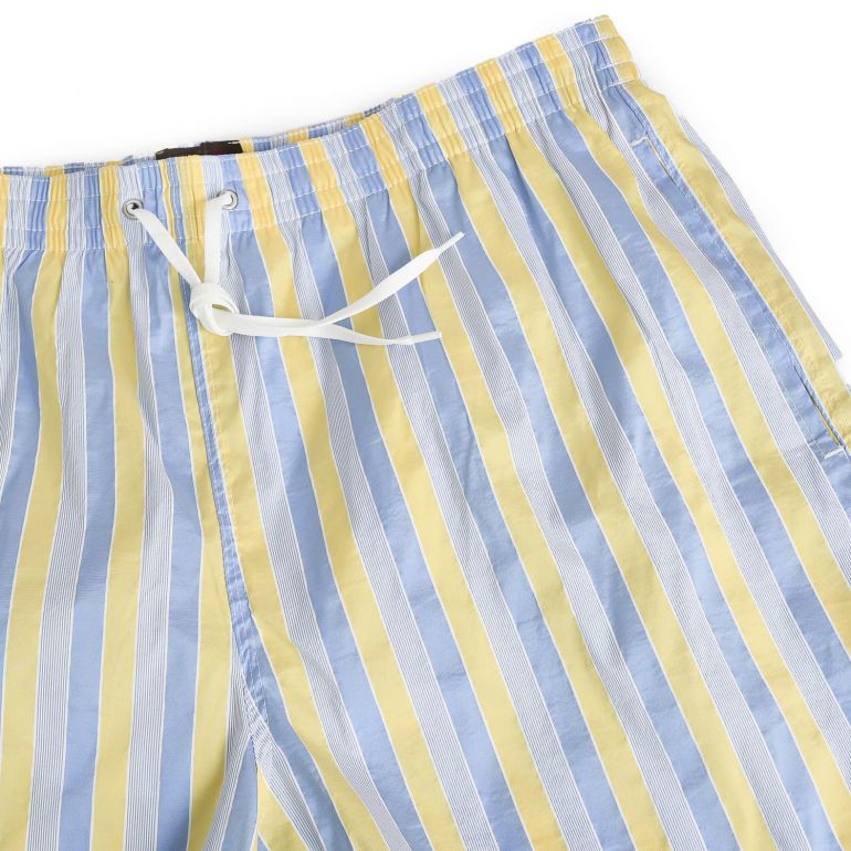 Плавательные шорты Fiorio Blue White Stripes.