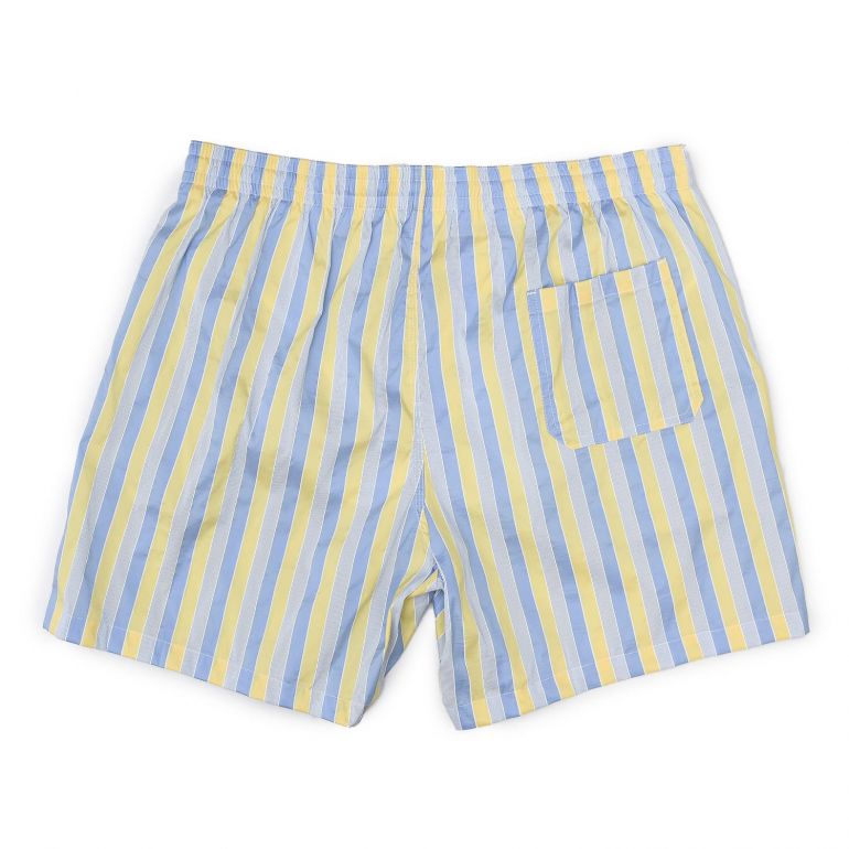 Плавательные шорты Fiorio Blue White Stripes.