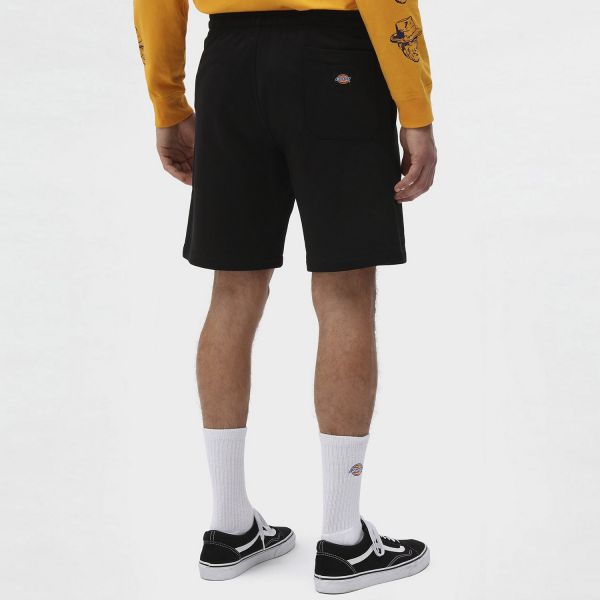 Шорты Dickies DK0A4XAY.