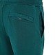 Спортивні штани Stone Island 101564551 A0053