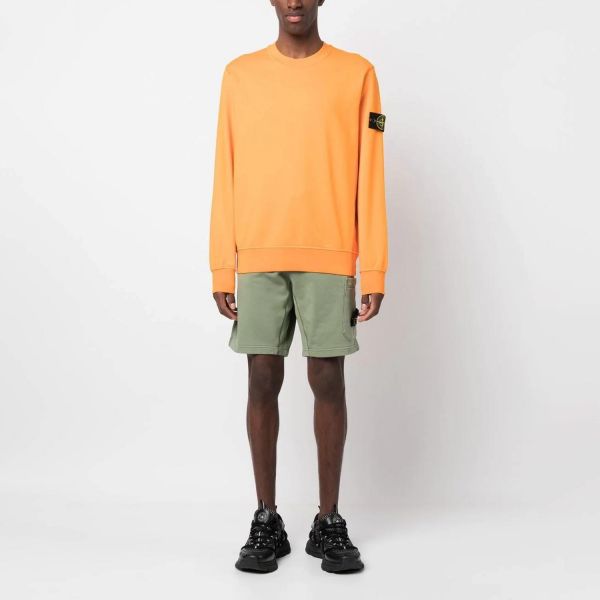 Шорти Stone Island 101564651 V0055.