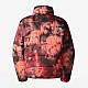 Куртка The North Face NF0A7WU8987