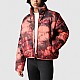 Куртка The North Face NF0A7WU8987