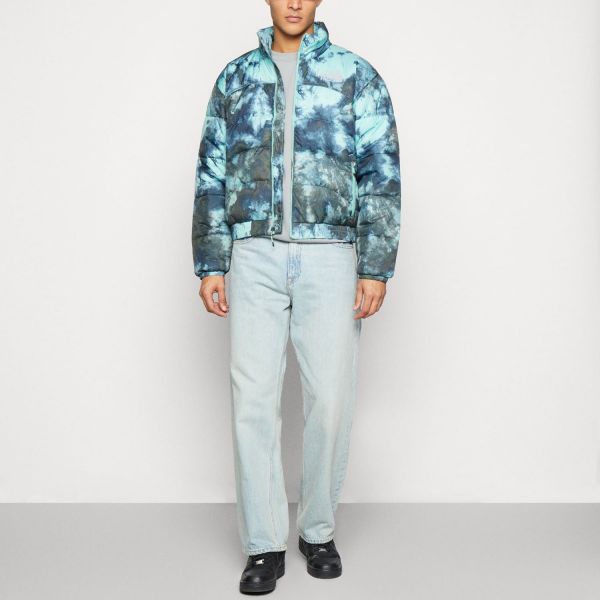 Куртка The North Face M P TNF JKT 2K WASBICEDYEPRINT.