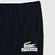 Спортивні штани Lacoste XH5585 00 166
