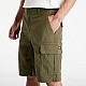 Шорти Dickies DK0A4XEDMGR1