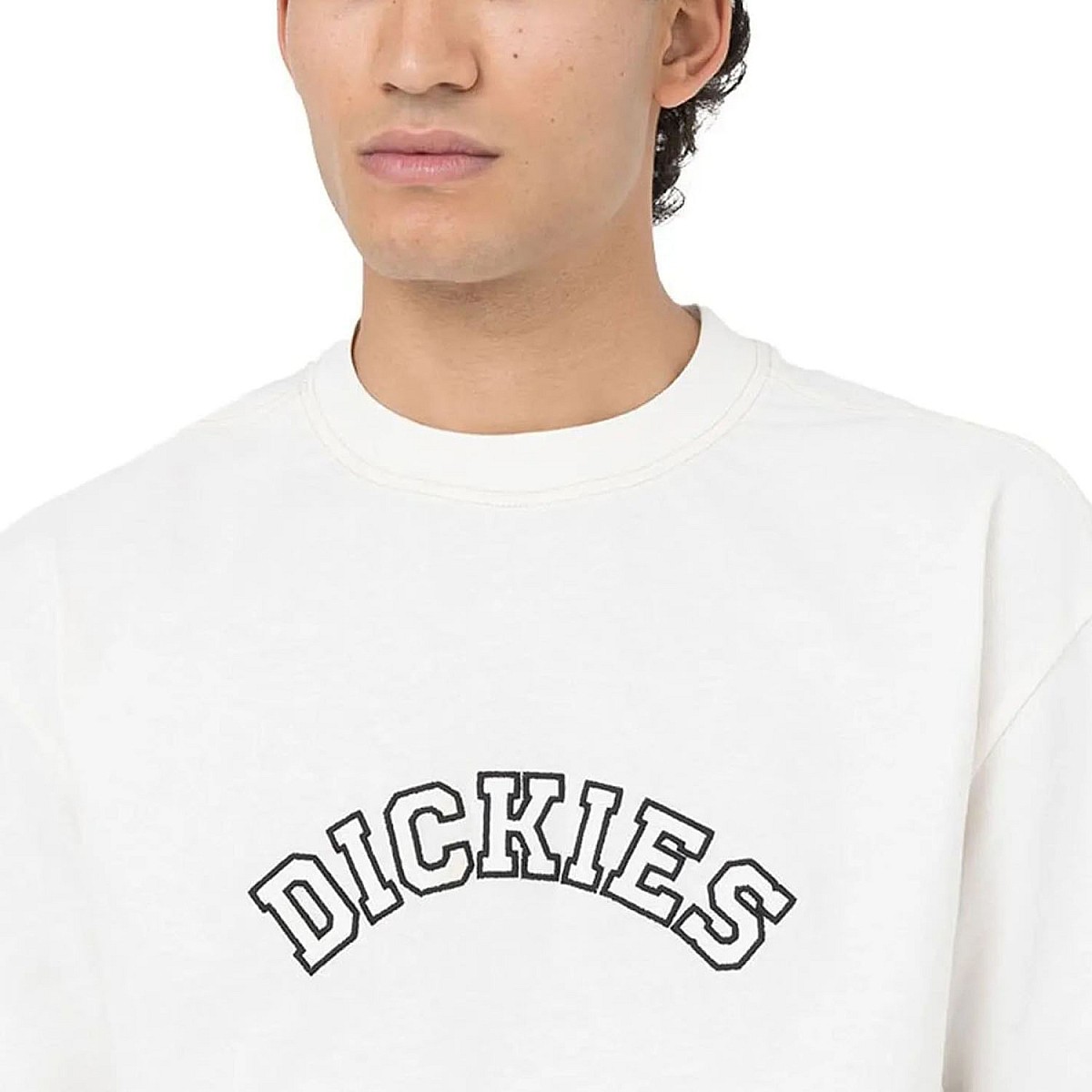 Футболка Dickies DK0A4YBMC581