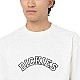 Футболка Dickies DK0A4YBMC581