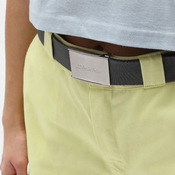 Ремень Dickies DK0A4XBYCH01.