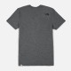Футболка The North Face NF0A2TX3JBV1