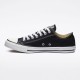 Кеди Converse M9166C