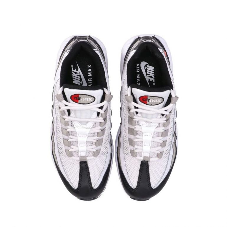 Кросівки Nike Air Max 95 DR2550 100.