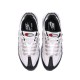 Кросівки Nike Air Max 95 DR2550 100