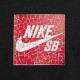 Футболка Nike FJ1157-010