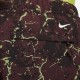Шорти Nike FB8091-227