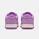 Кеди Nike W Dunk Low PRM MF DV7415 500