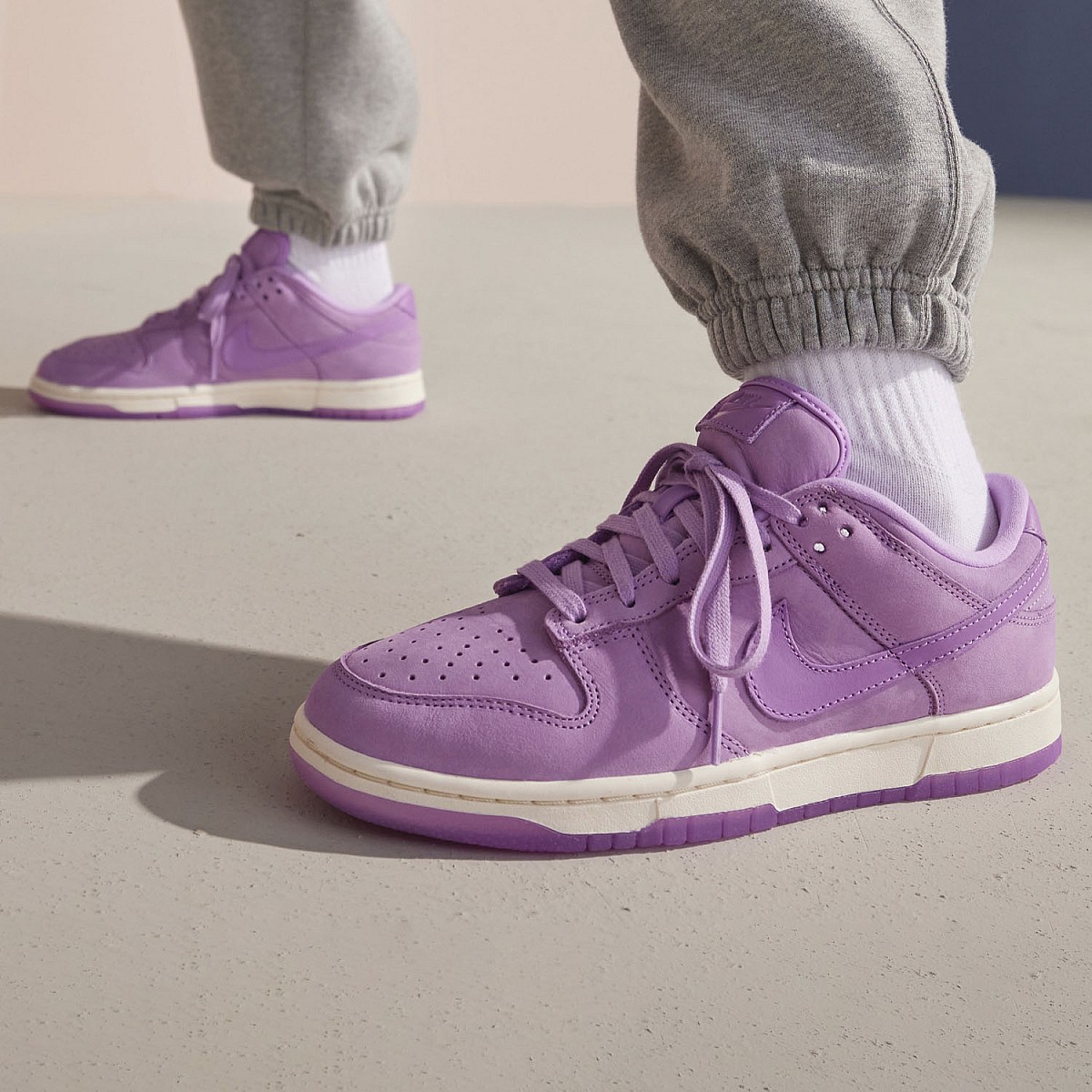 Кеди Nike W Dunk Low PRM MF DV7415 500