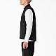 Жилет Dickies TER02SBK