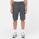 Шорти Dickies DK0A4XEDCH01