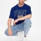 Футболка Tommy Hilfiger DM0DM16832 C9B