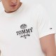 Футболка Tommy Hilfiger DM0DM17731 YBH