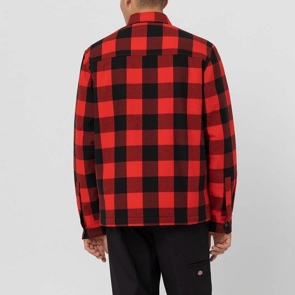 Куртка Dickies DK0A4XGRRDX1