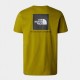Футболка The North Face NF0A2TX2I0N1