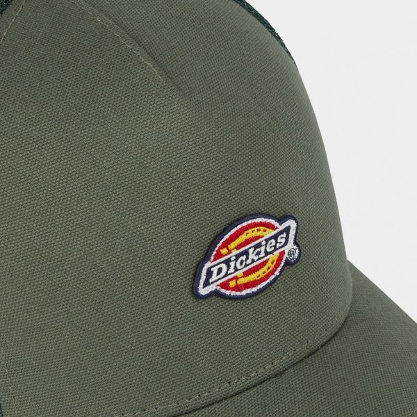 Кепка Dickies DK0A4YV3H151.