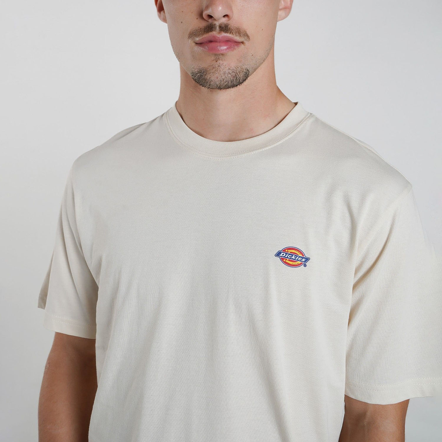 Футболка Dickies DK0A4XDBF90