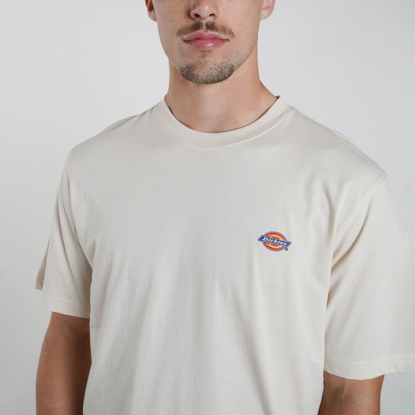 Футболка Dickies DK0A4XDBF90