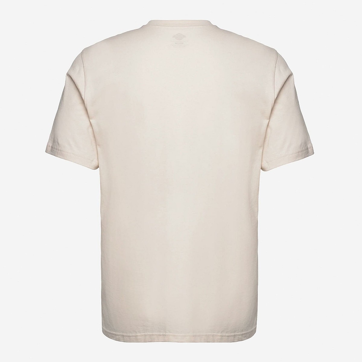 Футболка Dickies DK0A4XDBF90