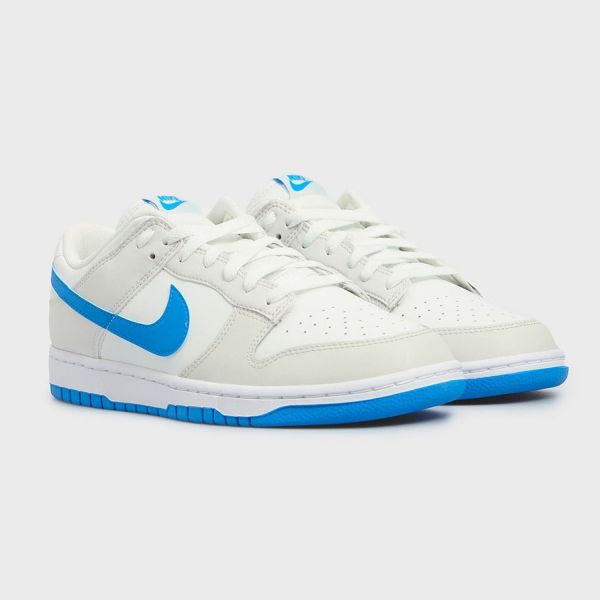 Кеды Nike Dunk Low Retro DV0831 108.