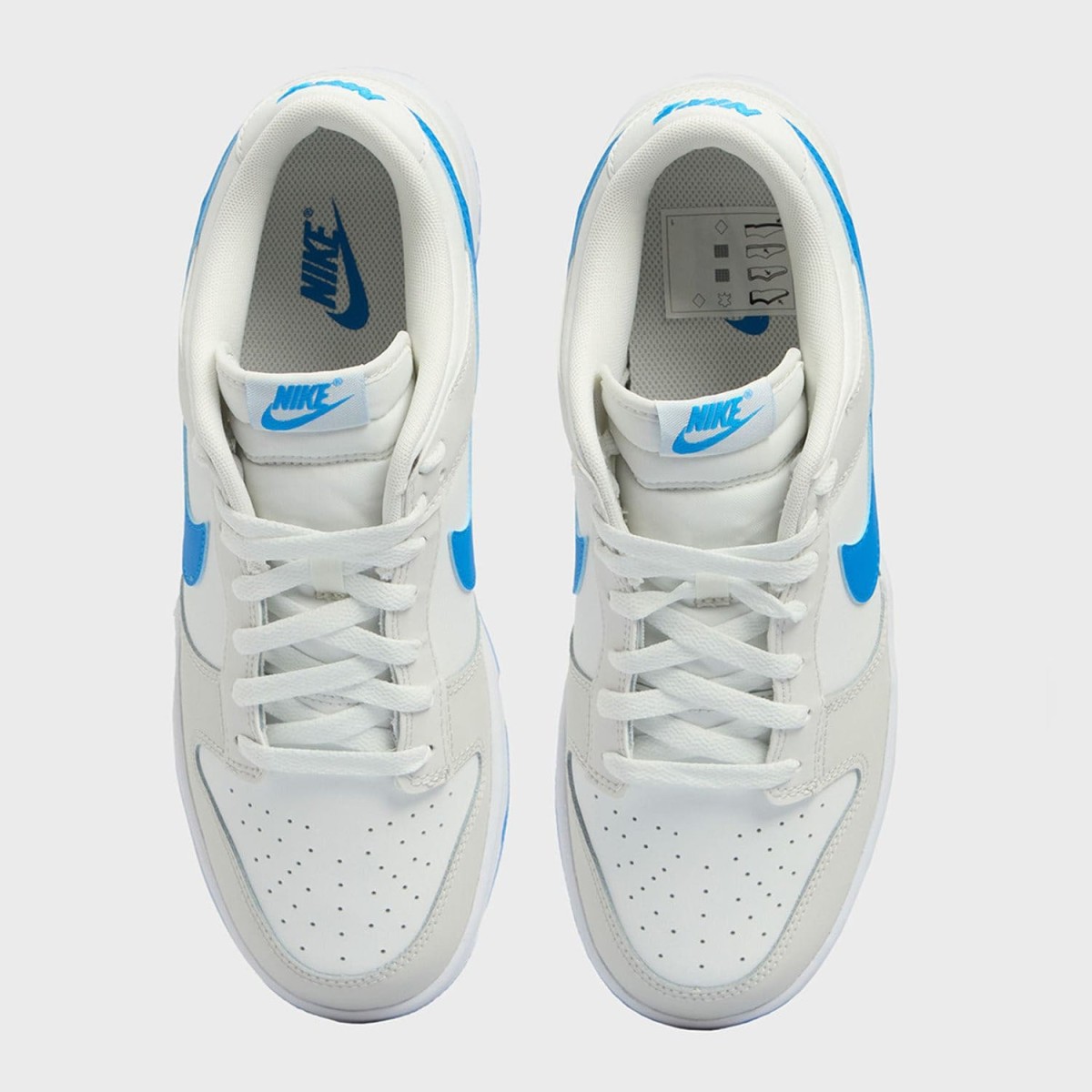 Кеди Nike Dunk Low Retro DV0831 108