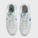Кеди Nike Dunk Low Retro DV0831 108