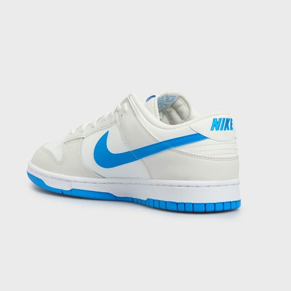 Кеды Nike Dunk Low Retro DV0831 108.