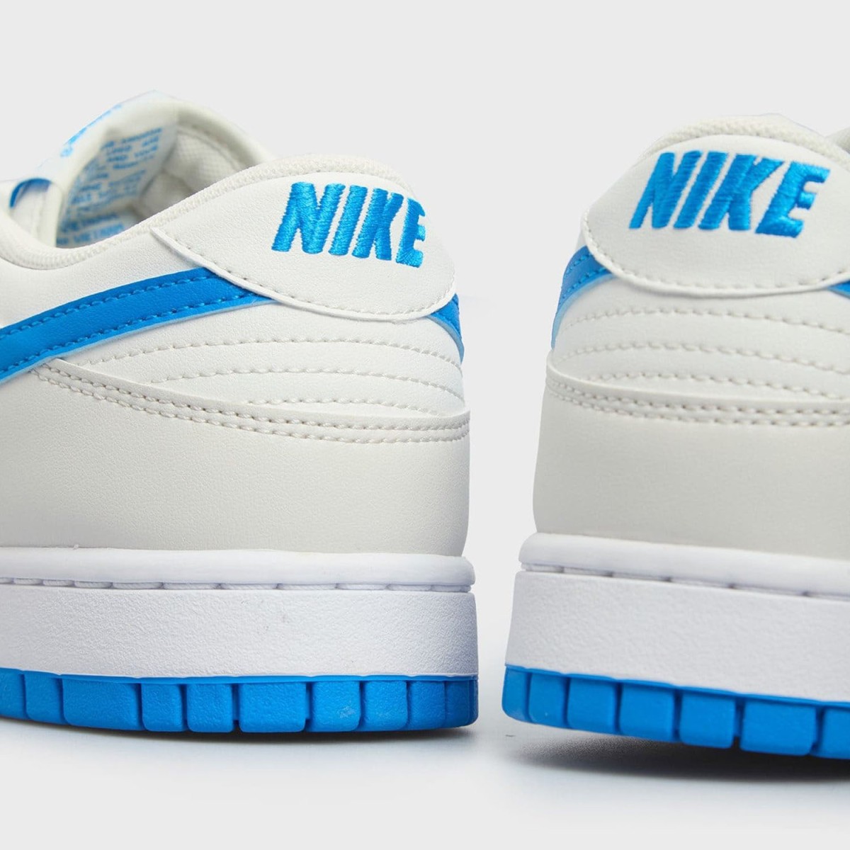 Кеди Nike Dunk Low Retro DV0831 108