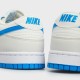 Кеди Nike Dunk Low Retro DV0831 108