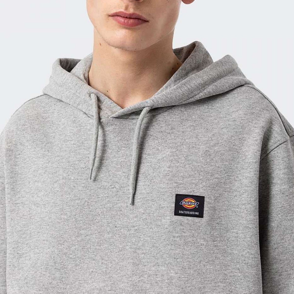 Худі Dickies DK0A4XYO