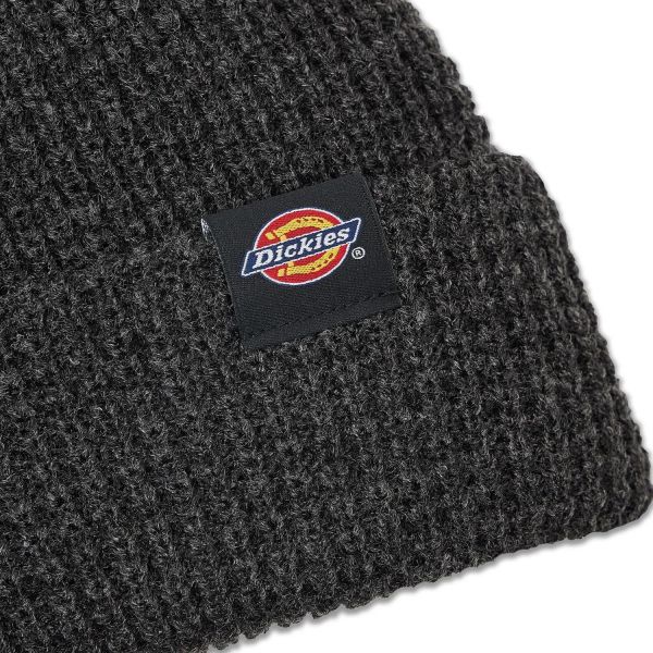 Шапка Dickies DK0A4XFD.